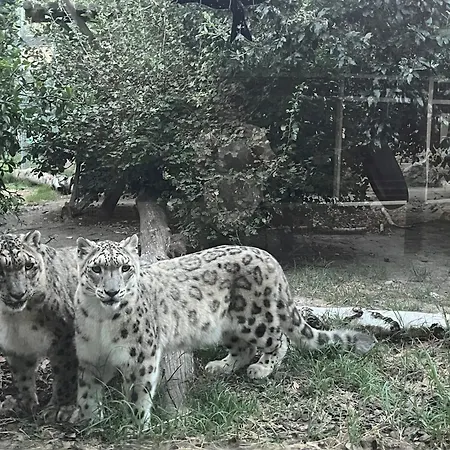Daire Fronte Mare Con Terrazzo E Parcheggio Privato *