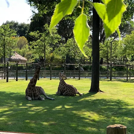 Fronte Mare Con Terrazzo E Parcheggio Privato Daire Lignano Sabbiadoro